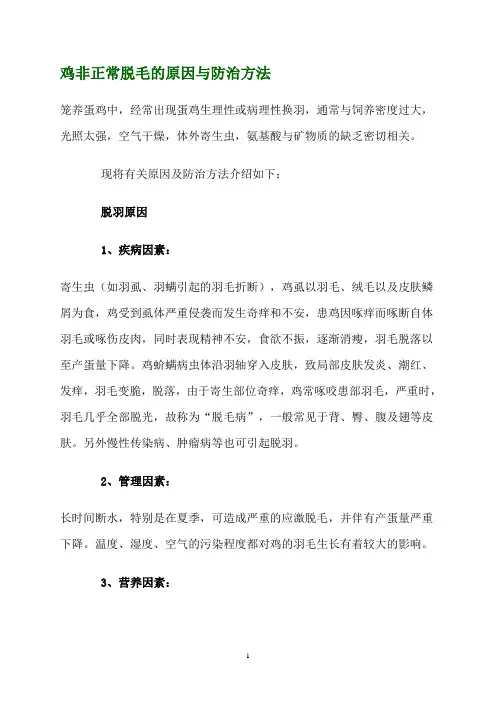 鸡非正常脱毛的原因与防治方法