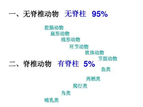 脊椎动物的主要类群