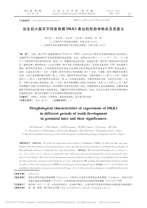 出生后小鼠牙不同发育期DKK1表达的形态学特点及其意义