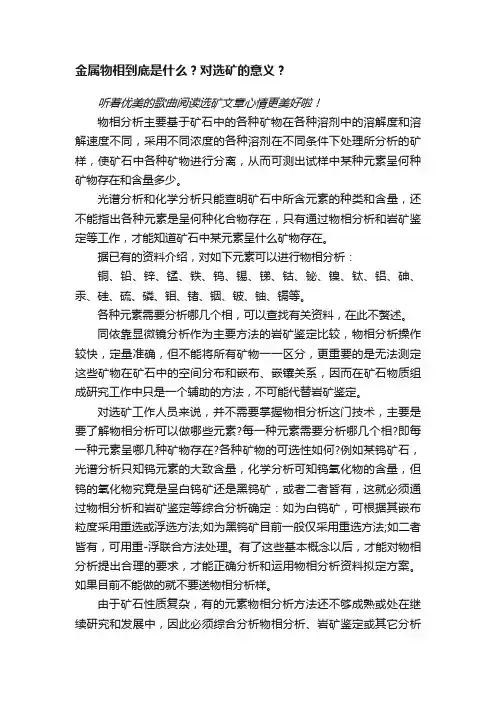 金属物相到底是什么？对选矿的意义？