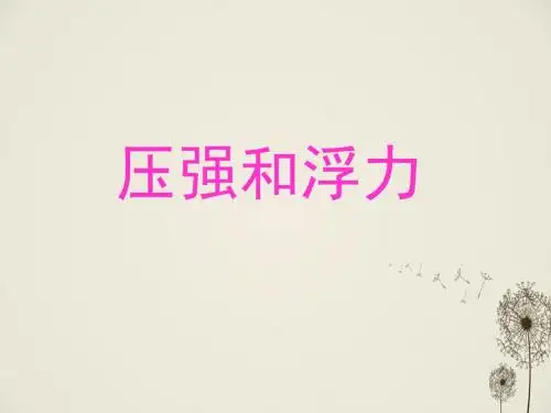 中考物理复习： 压强和浮力 PPT课件 人教版