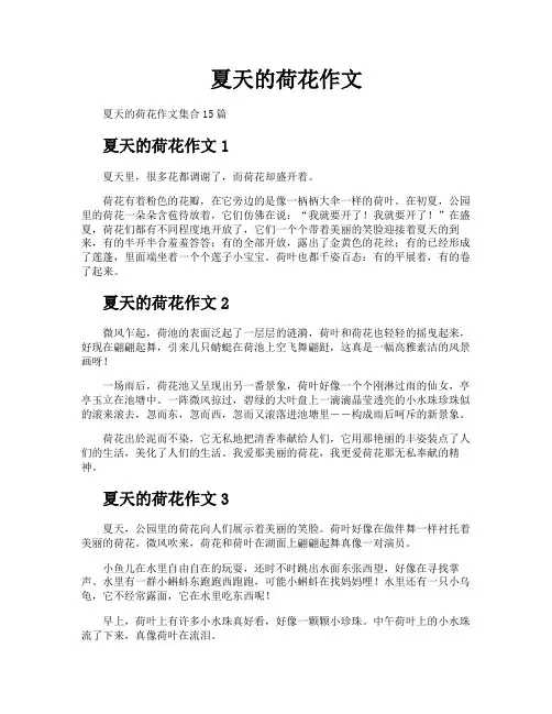 夏天的荷花作文
