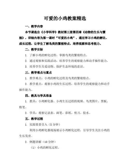 可爱的小鸡教案精选