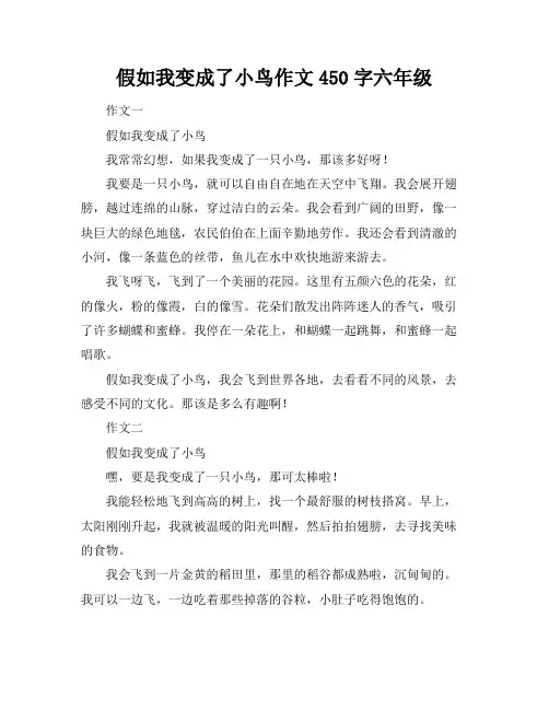 假如我变成了小鸟作文450字六年级