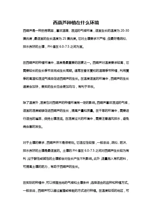 西葫芦种植在什么环境
