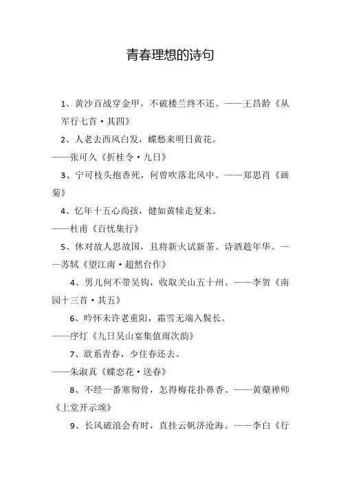 青春理想的诗句
