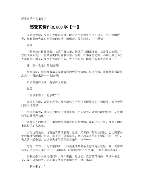 感受真情作文800字