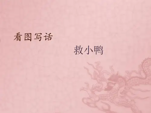 PPT——看图写话(救小鸭)