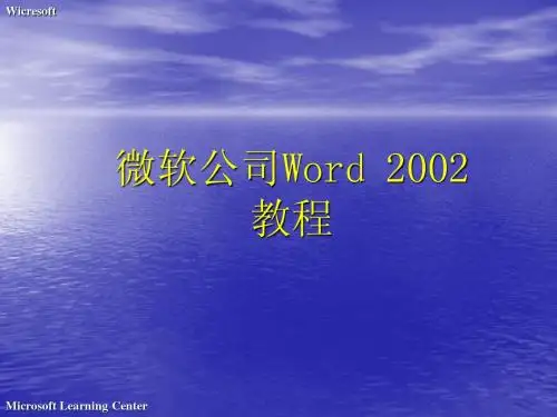 微软公司Word
