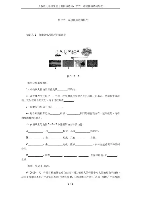 人教版七年级生物上册同步练习：2.2.2 动物体的结构层次