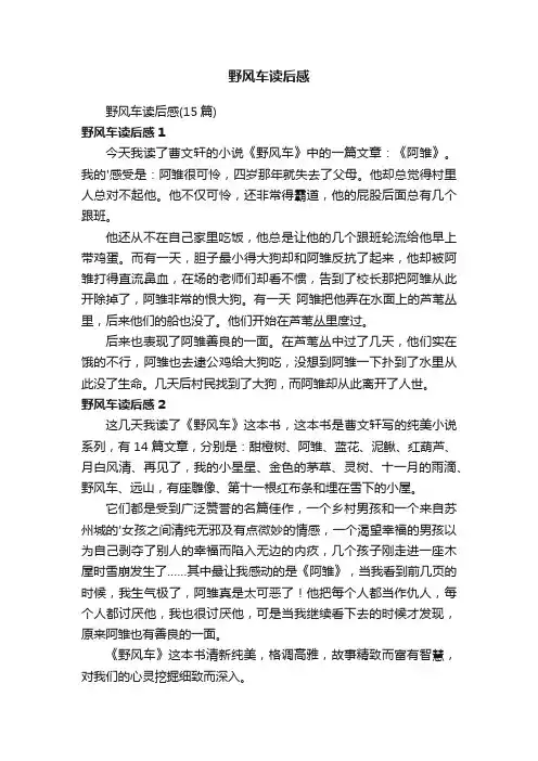 野风车读后感
