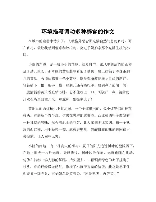 环境描写调动多种感官的作文
