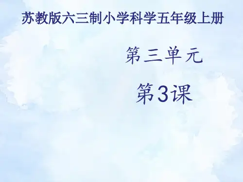 苏教版科学五年级上册课件：《探测暗盒里的电路》课件——第1课时