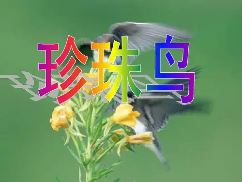 五年级语文《珍珠鸟》教学课件(共36张PPT)
