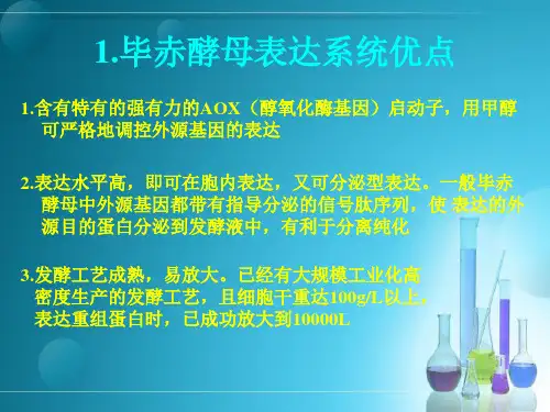 巴斯德毕赤酵母