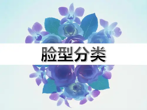 脸型分类