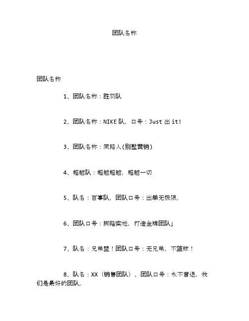 团队名称