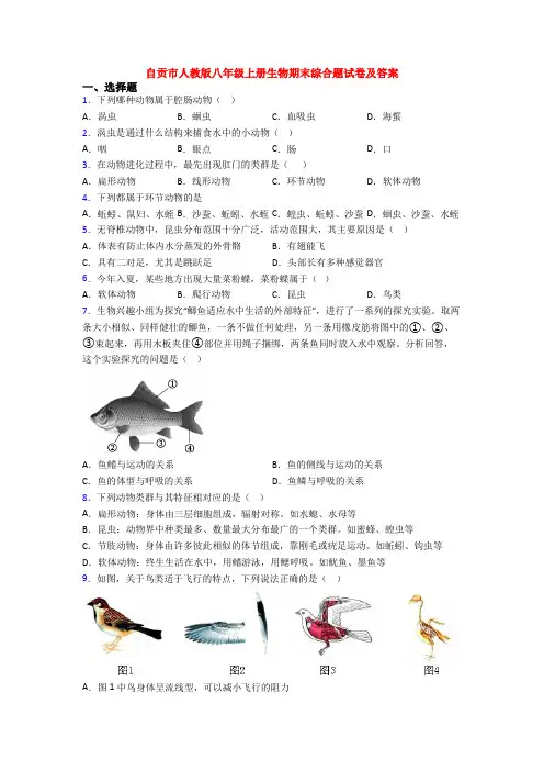 自贡市人教版八年级上册生物期末综合题试卷及答案