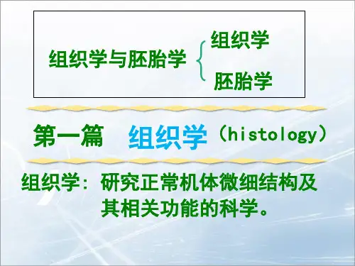 人卫版组织学与胚胎学课件(409页)