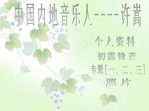 许嵩 演示文稿