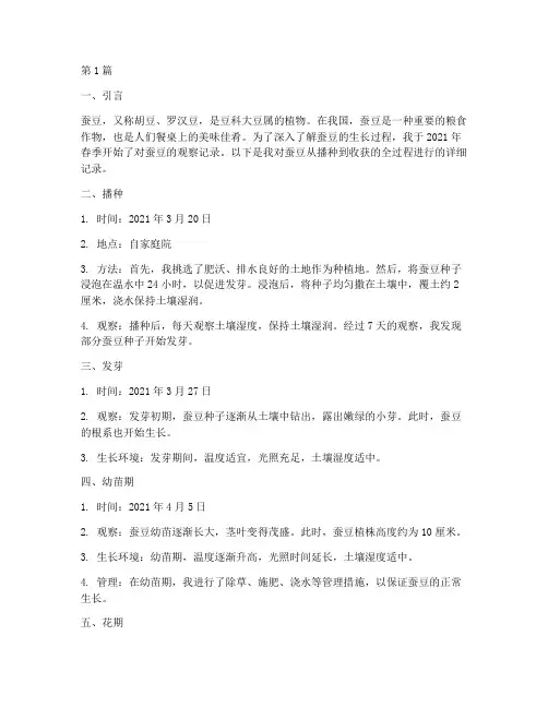蚕豆的成长过程观察记录(2篇)