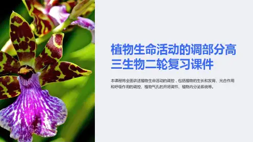 植物生命活动的调部分高三生物二轮复习课件