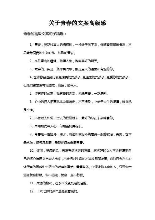 关于青春的文案高级感