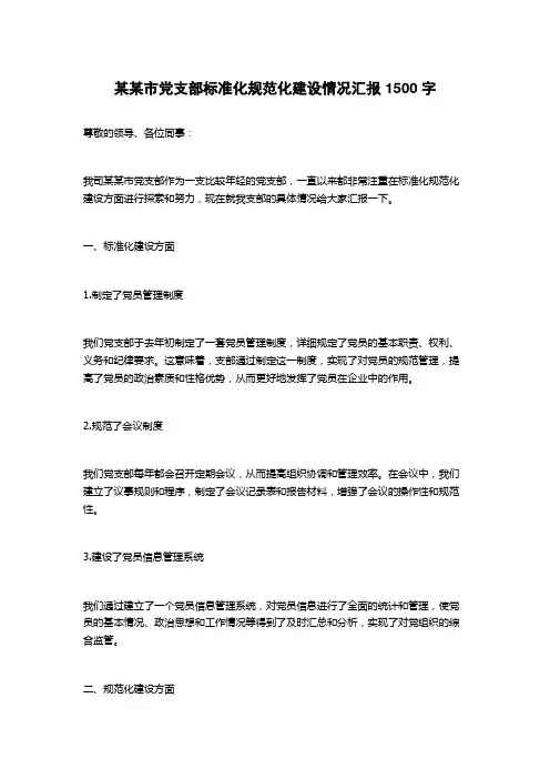 某某市党支部标准化规范化建设情况汇报