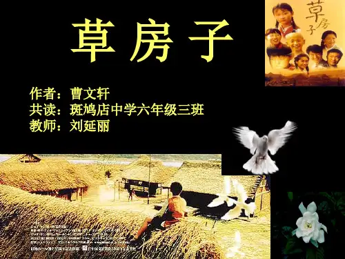 《草房子》阅读PPT课件
