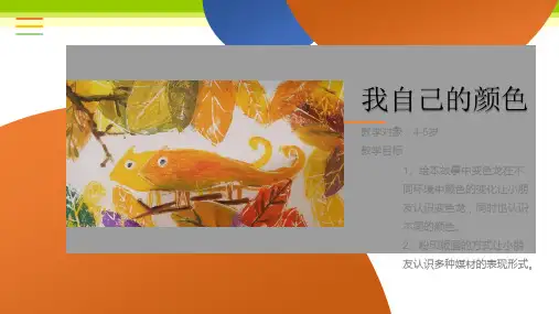 少儿4-5岁我自己的颜色教案—美术课件