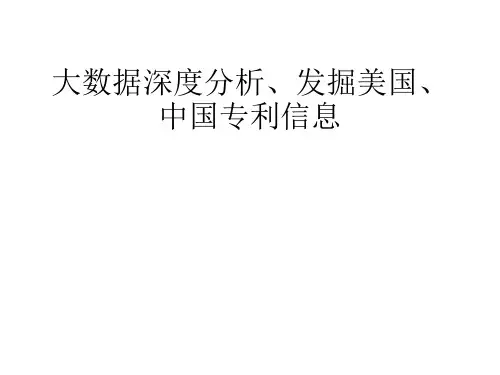 大数据与专利挖掘(精品文档)