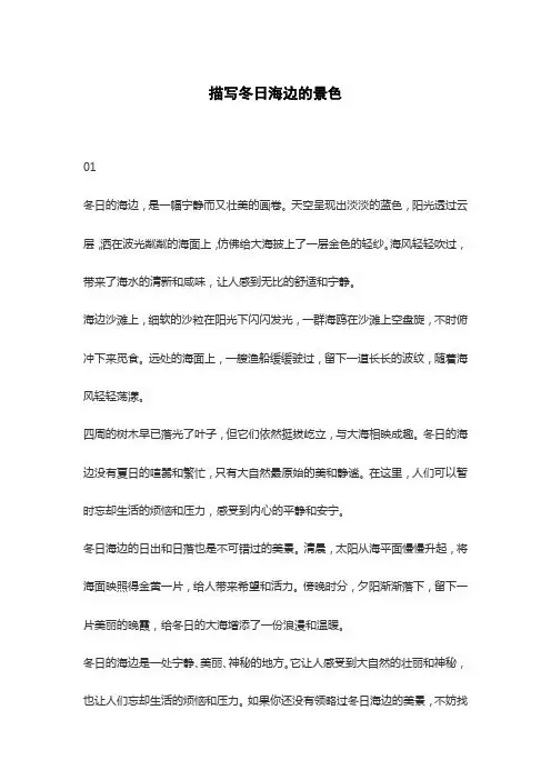 描写冬日海边的景色