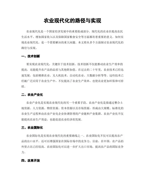 农业现代化的路径与实现