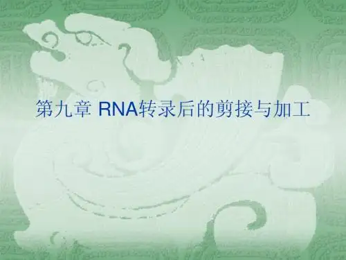 分子生物学第九章 RNA转录后的剪接与加工