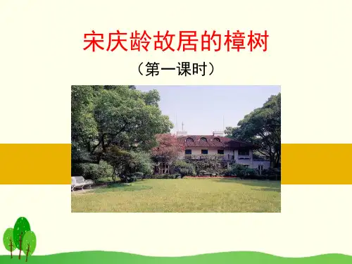 《宋庆龄故居的樟树》PPT-模板