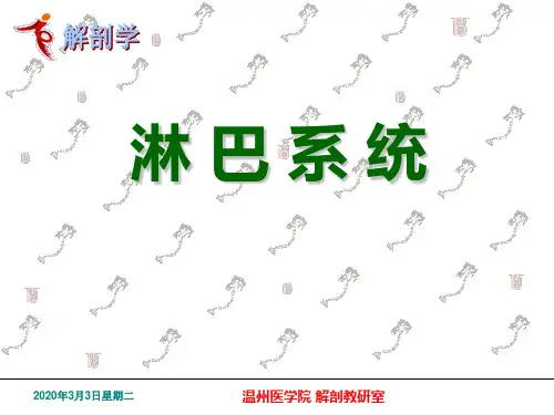 淋巴系统(精品医学课件)