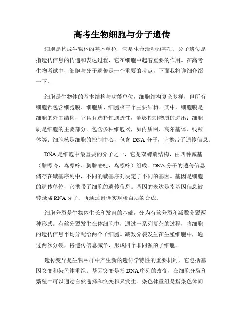高考生物细胞与分子遗传