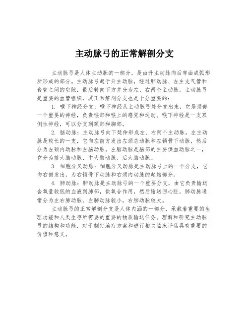主动脉弓的正常解剖分支
