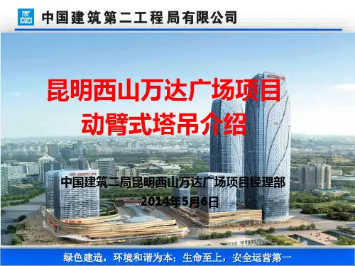 动臂式塔吊汇报