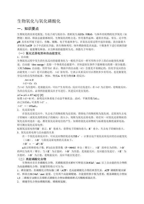 生物化学 生物氧化小结及习题