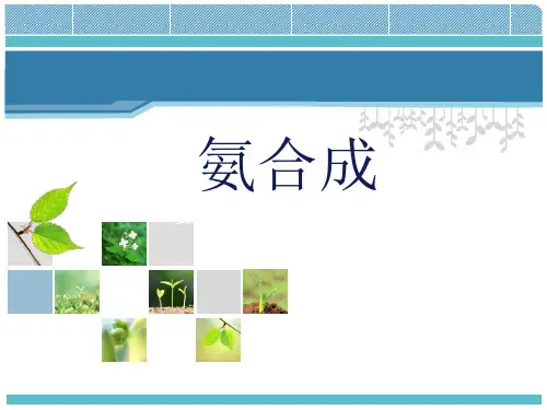 氨合成工艺.ppt