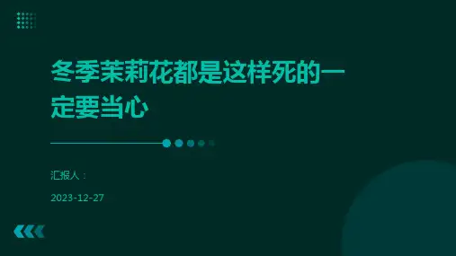冬季茉莉花都是这样死的一定要当心