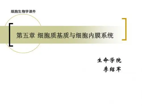 第五章 细胞质基质与细胞内膜系统