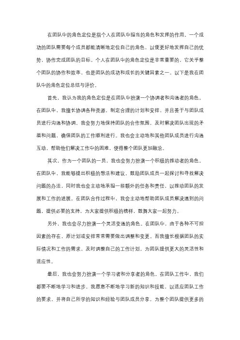  个人在团队中的角色定位总结与评价