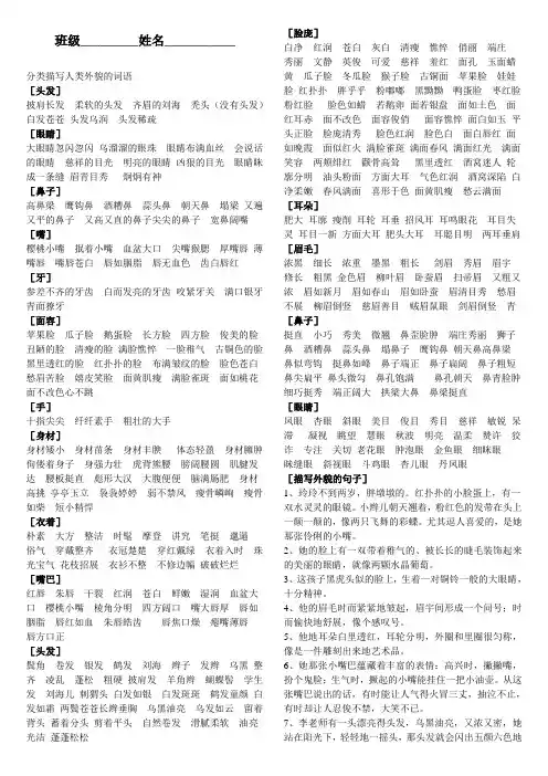 人物外貌描写的词语和句子