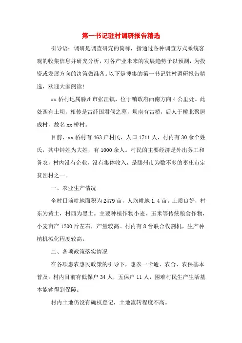 第一书记驻村调研报告精选