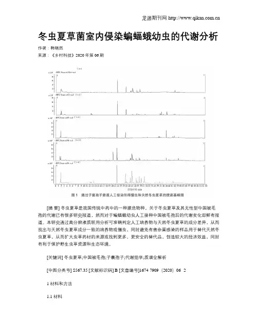 冬虫夏草菌室内侵染蝙蝠蛾幼虫的代谢分析