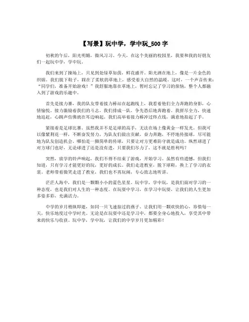 【写景】玩中学,学中玩_500字
