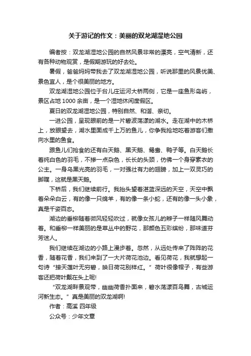 关于游记的作文：美丽的双龙湖湿地公园