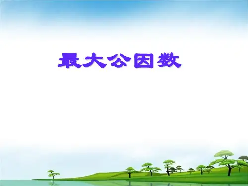 《最大公因数》ppt-